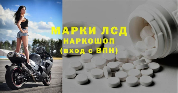 стаф Бородино