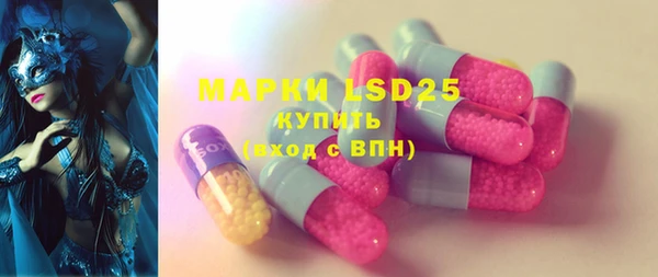 амф Верхний Тагил