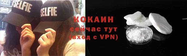 амф Верхний Тагил