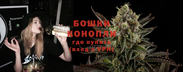амф Верхний Тагил