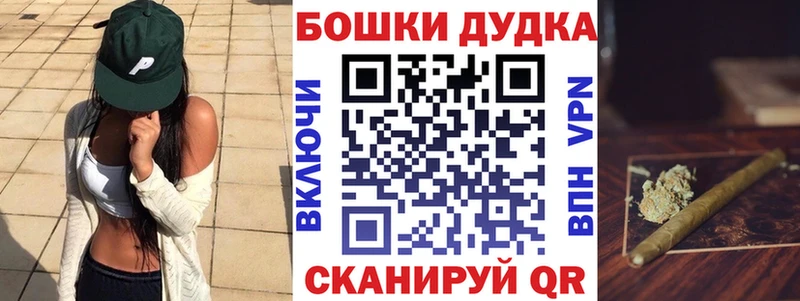 mega как войти  Новоржев  Марихуана OG Kush 